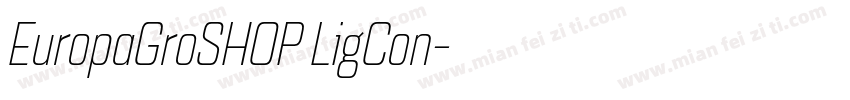 EuropaGroSHOP LigCon字体转换